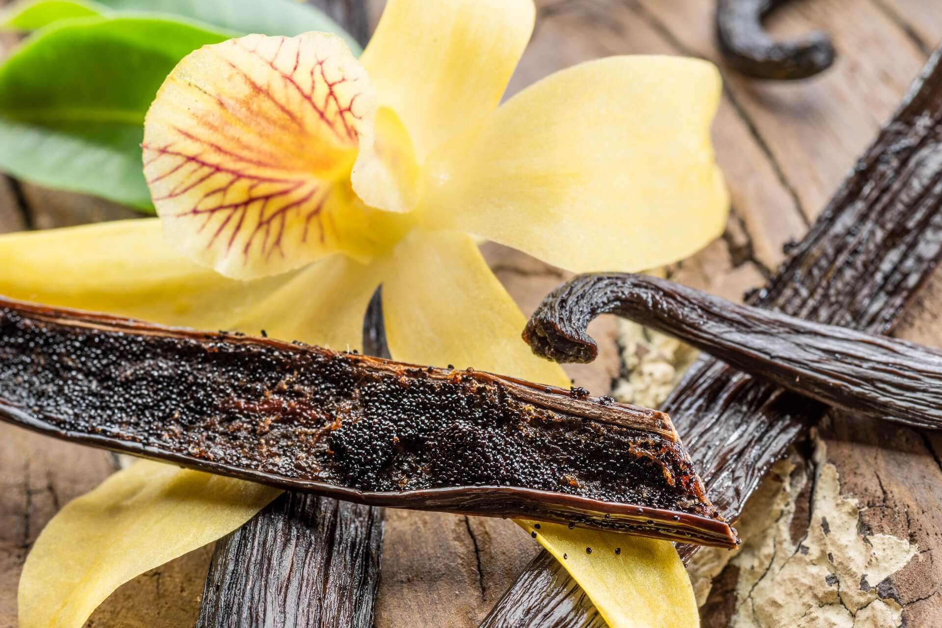 Sapone alla vaniglia: dolcezza raffinata | Alchimia
