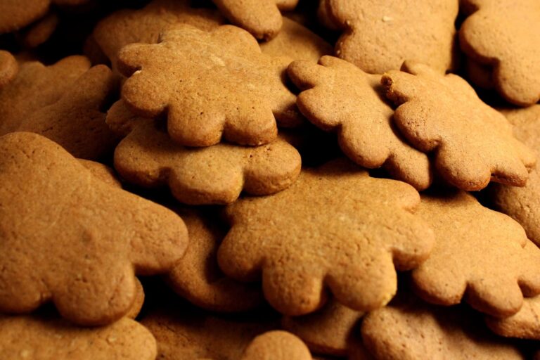 biscotti di pan di zenzero per atmosfera natalizia, con fragranza gingerbread