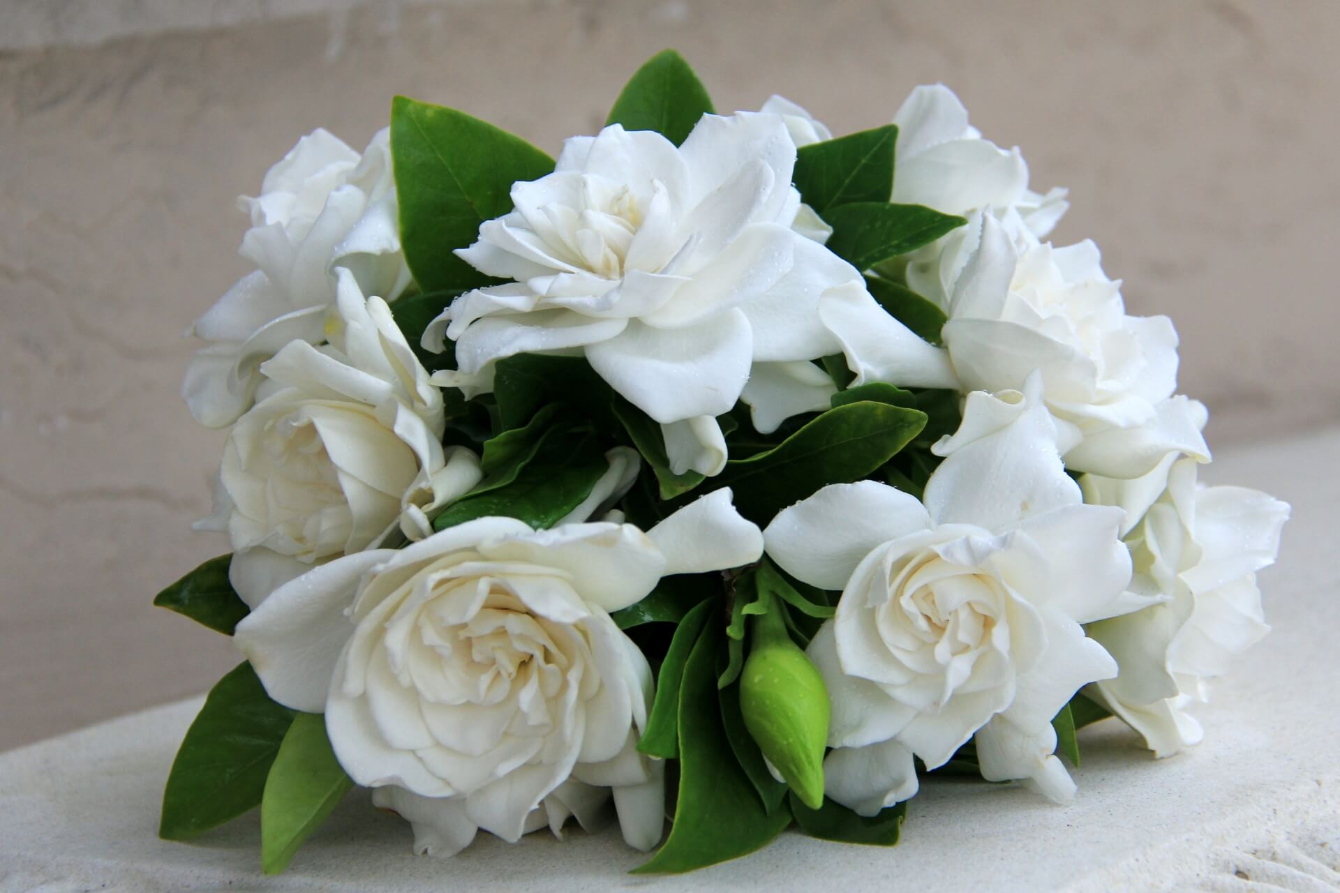 bouquet con fiori di gardenia: colori, profumo, essenza e simbologia